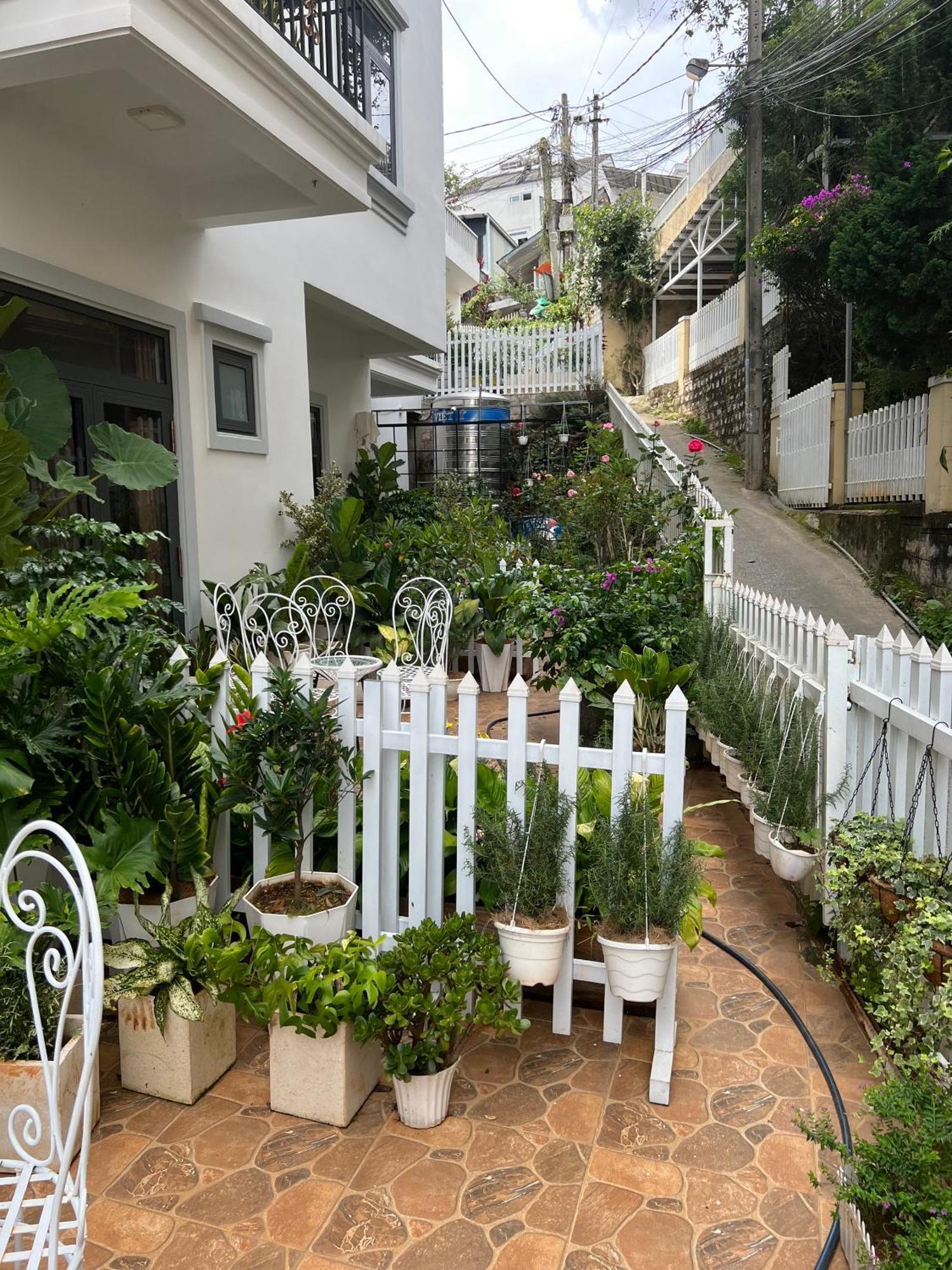 Hera Boutique Hotel ดาลัด ภายนอก รูปภาพ